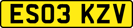 ES03KZV