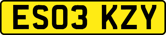 ES03KZY