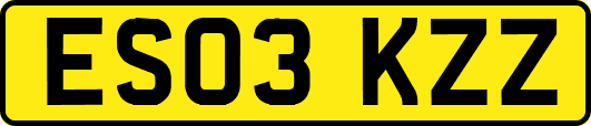 ES03KZZ