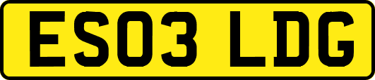 ES03LDG