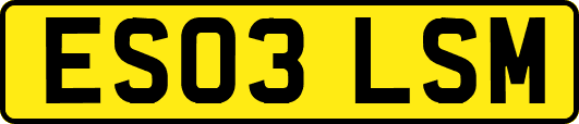 ES03LSM