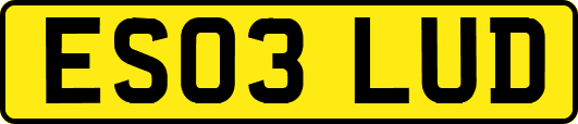 ES03LUD