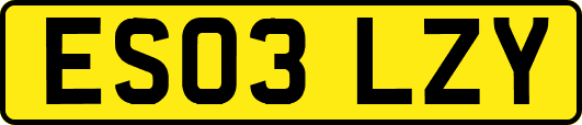 ES03LZY