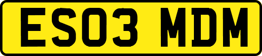 ES03MDM