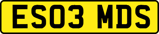 ES03MDS