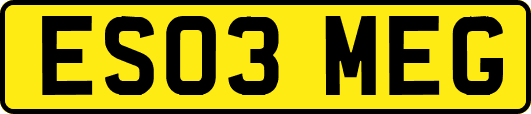 ES03MEG