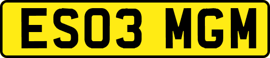 ES03MGM