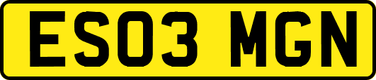 ES03MGN