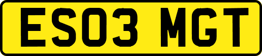 ES03MGT
