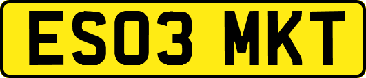 ES03MKT