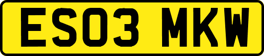 ES03MKW