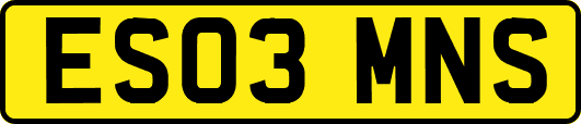 ES03MNS