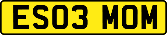 ES03MOM