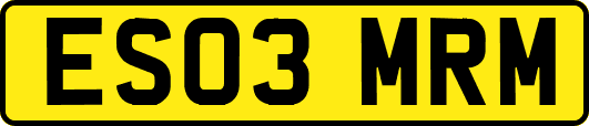 ES03MRM