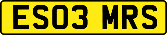 ES03MRS