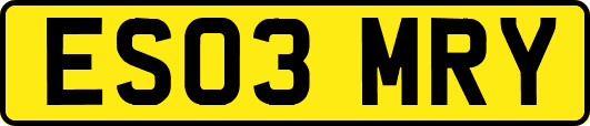 ES03MRY