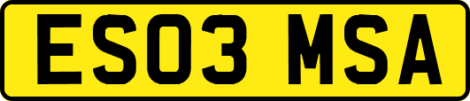 ES03MSA
