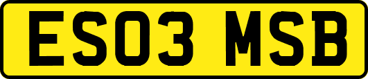 ES03MSB