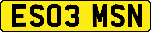 ES03MSN