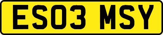 ES03MSY