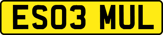 ES03MUL