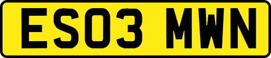 ES03MWN