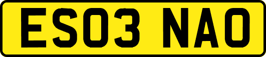 ES03NAO