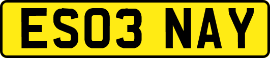 ES03NAY