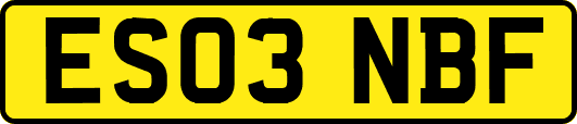 ES03NBF