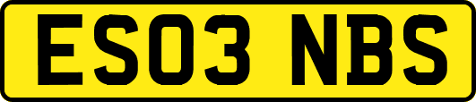 ES03NBS