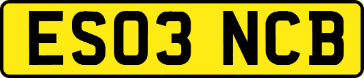 ES03NCB