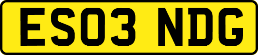 ES03NDG