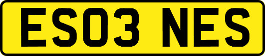 ES03NES