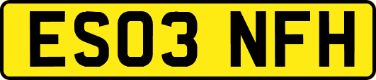 ES03NFH
