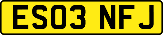 ES03NFJ
