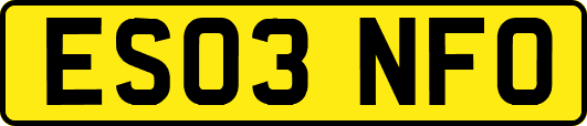 ES03NFO
