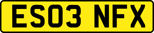 ES03NFX