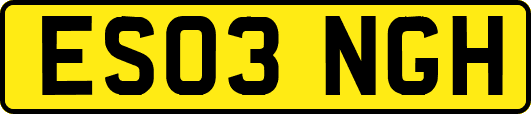 ES03NGH
