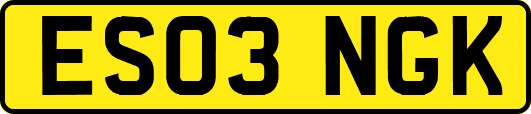 ES03NGK