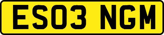 ES03NGM