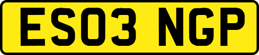 ES03NGP