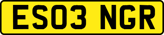 ES03NGR