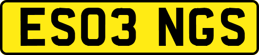 ES03NGS