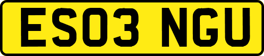 ES03NGU