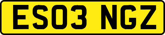 ES03NGZ