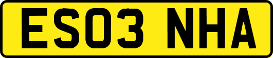 ES03NHA