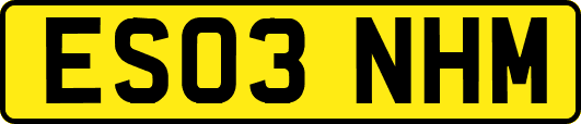 ES03NHM