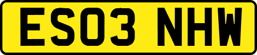 ES03NHW