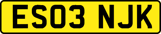 ES03NJK