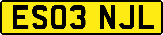 ES03NJL